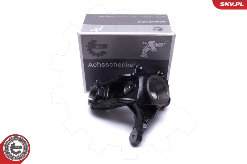 Steering Knuckle, wheel suspension
